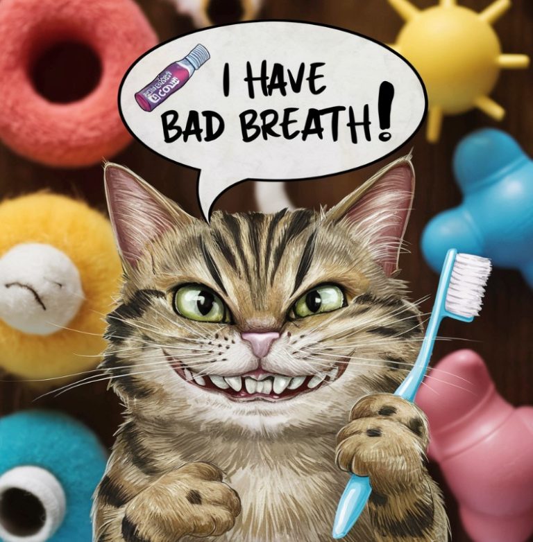 Bad breath in cats: Causes and Treatment