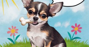 Do Chihuahuas Bark a Lot? Understanding Their Behavior and Communication